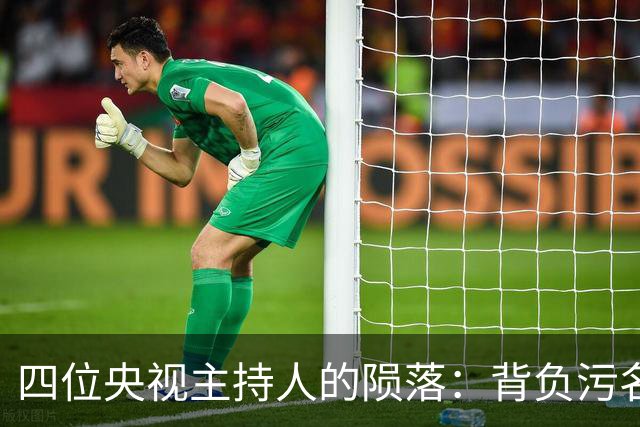 四位央视主持人的陨落：背负污名与命运的悲剧
